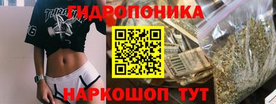 сатива Будённовск