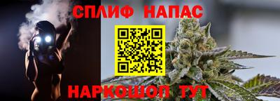 сатива Будённовск