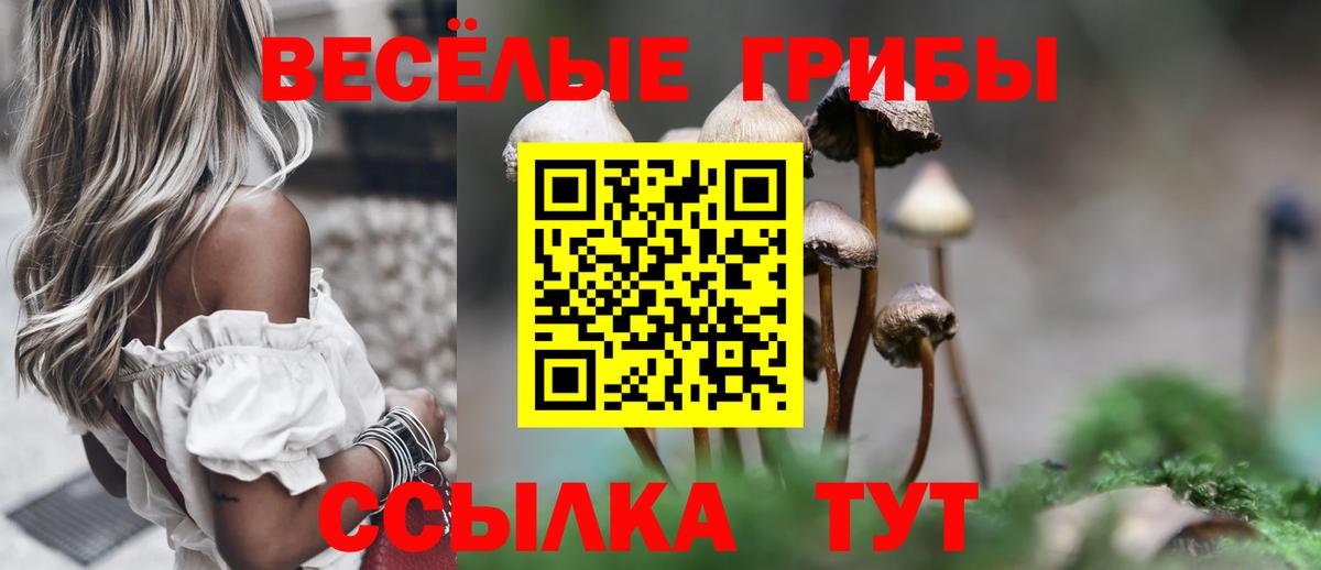 Галлюциногенные грибы Cubensis Усинск